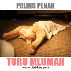 DP-BBM-Lucu-Bahasa-Jawa-Penak-Turu-Mlumah