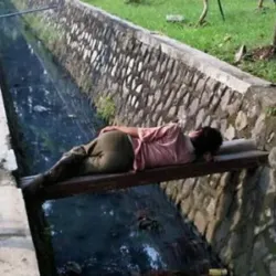 DP-BBM-Lucu-Tidak-Bisa-Tidur-Konyol