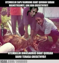 update-kumpulan-meme-hewan-qurban-terkini