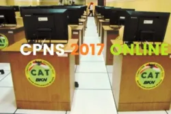 Pendaftaran Lowongan CPNS Kementerian Pendayagunaan Aparatur Negara Online sscn bkn go id