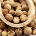 Berapa Harga Pala Per Kg Terbaru Hari Ini Di Pasaran Jual Beli Pala