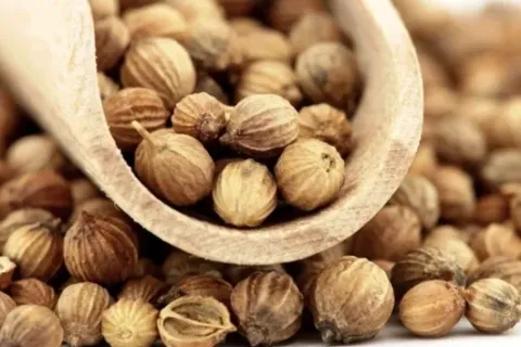 Berapa Harga Pala Per Kg Terbaru Hari Ini Di Pasaran Jual Beli Pala