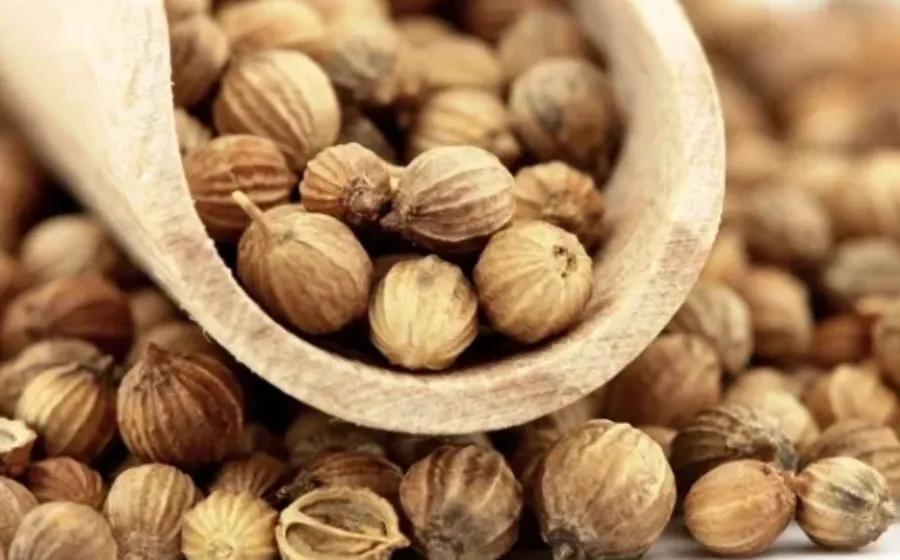 Berapa Harga Pala Per Kg Terbaru Hari Ini Di Pasaran Jual Beli Pala