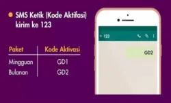 Cara Cepat dan Mudah Berlangganan Paket Games