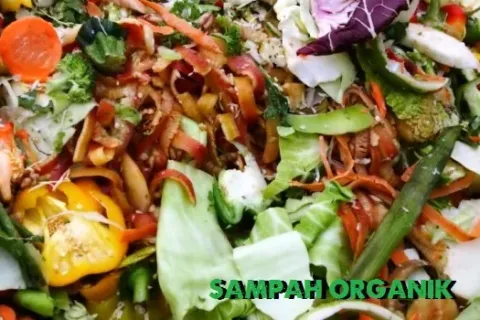 Mengenal Pengertian Sampah Organik, Jenis Dan Manfaatnya