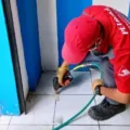 Jasa Pembasmi Rayap