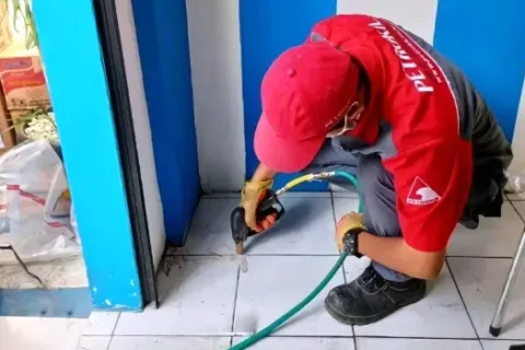 Jasa Pembasmi Rayap