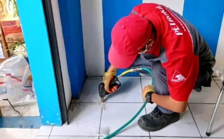 Jasa Pembasmi Rayap