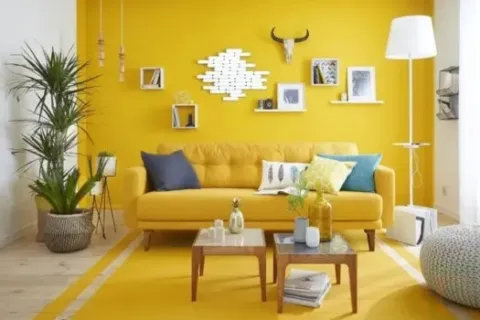 Ketahui Tips Memilih Cat Ruang Tamu Yang Tepat Untuk Rumah Anda