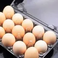 Ini Fungsi Egg Tray Dan Jenis Jenisnya