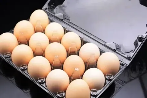 Ini Fungsi Egg Tray Dan Jenis Jenisnya
