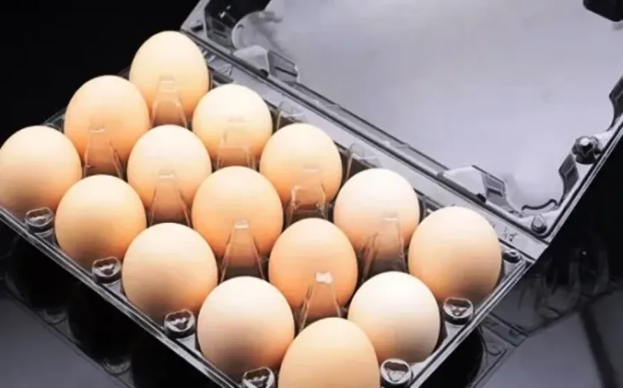 Ini Fungsi Egg Tray Dan Jenis Jenisnya