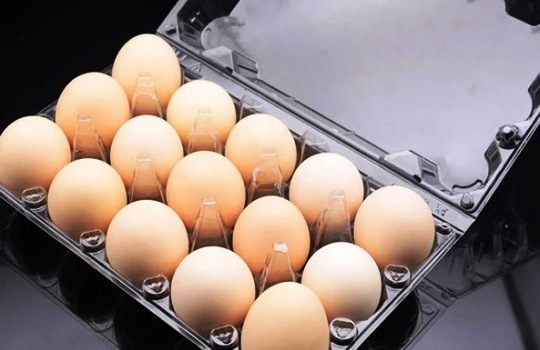 Ini Fungsi Egg Tray dan Jenis jenisnya