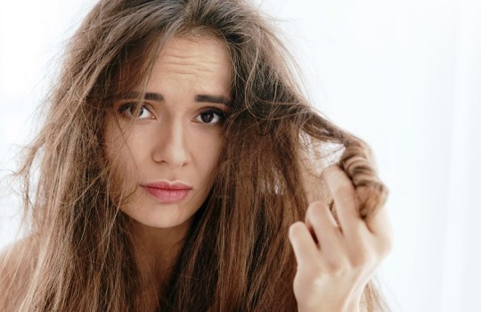 Tips Memilih Conditioner yang Bagus untuk Rambut Kering