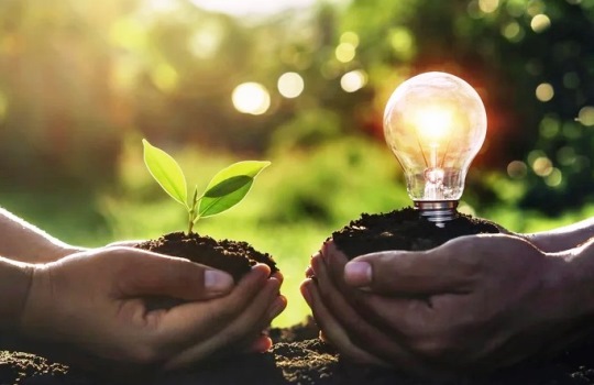 Menjaga Lingkungan dari Rumah Bersama DLH Lingga