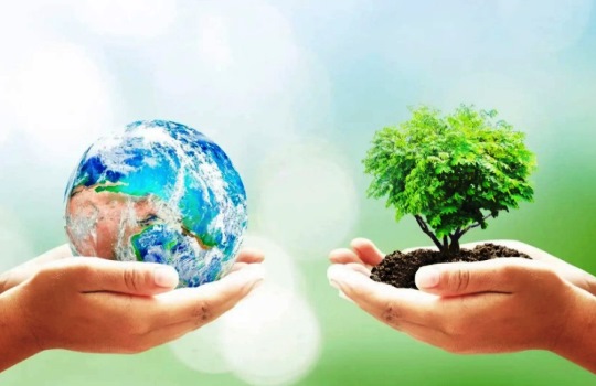 Peran DLH Kabupaten Ponorogo dalam Menjaga Alam agar Tetap Lestari untuk Generasi Mendatang