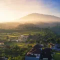 Pemandangan hamparan kebun teh berkabut di Puncak Bogor untuk ide wisata pegunungan yang sejuk