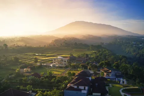 Pemandangan hamparan kebun teh berkabut di Puncak Bogor untuk ide wisata pegunungan yang sejuk