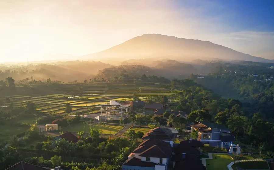 Pemandangan hamparan kebun teh berkabut di Puncak Bogor untuk ide wisata pegunungan yang sejuk